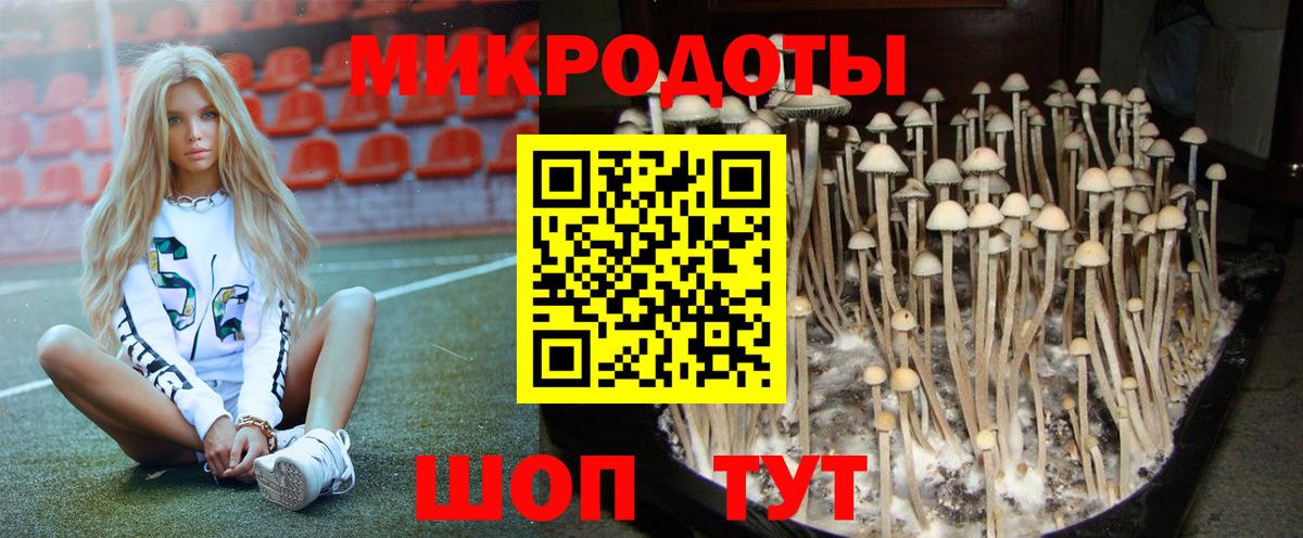 Псилоцибиновые грибы GOLDEN TEACHER  Вход с VPN  Галлюциногенные грибы прущие грибы  где продают   Новотроицк 