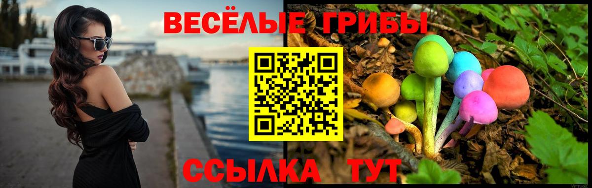 Галлюциногенные грибы мицелий Новотроицк